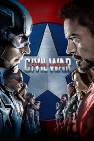 Captain America: Civil War (2016) Hindi Dubbed