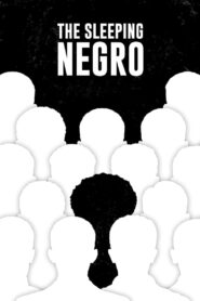 The Sleeping Negro (2021) Hindi Dubbed