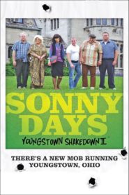 Sonny Days (2023) Hindi