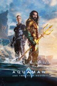Aquaman 2 and the Lost Kingdom (2023) Hindi