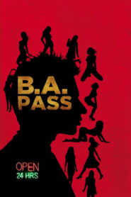 B.A. Pass (2012) Hindi HD