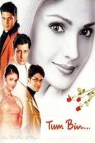 Tum Bin (2001) Hindi HD