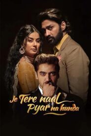 Je Tere Naal Pyar Na Hunda (2022) Punjabi HD