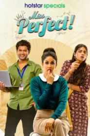 Miss Perfect (2024) Hindi Season 1 Complete
