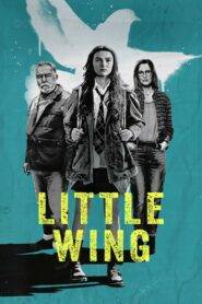 Little Wing (2024) English