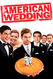 American Wedding (2003) Hindi Dubbed