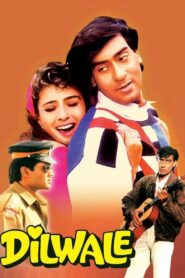 Dilwale (1994) Hindi HD