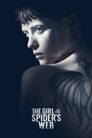 The Girl in the Spiders Web (2018) Hindi Dubbed